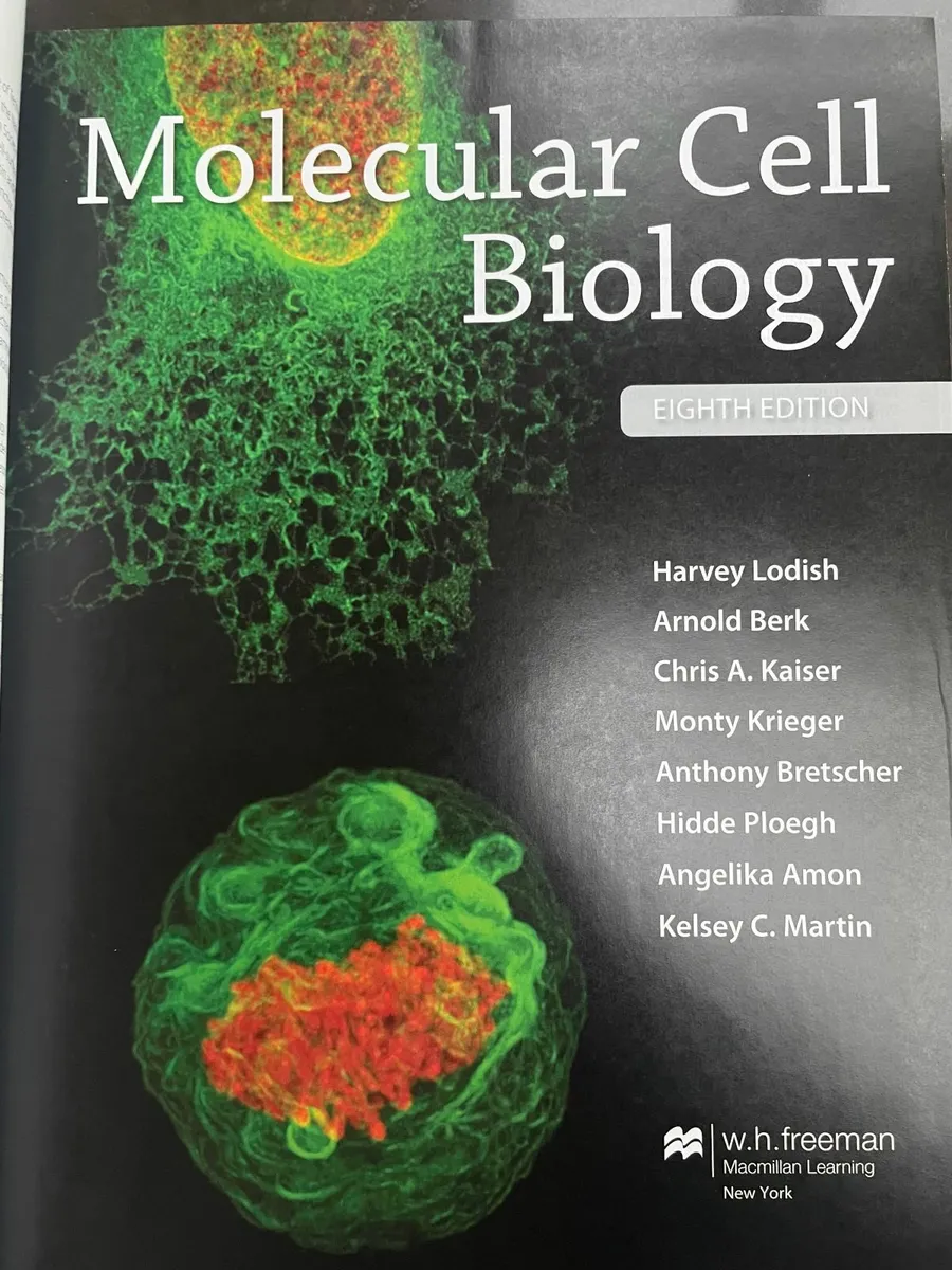 STEM College Textbooks - Image 4