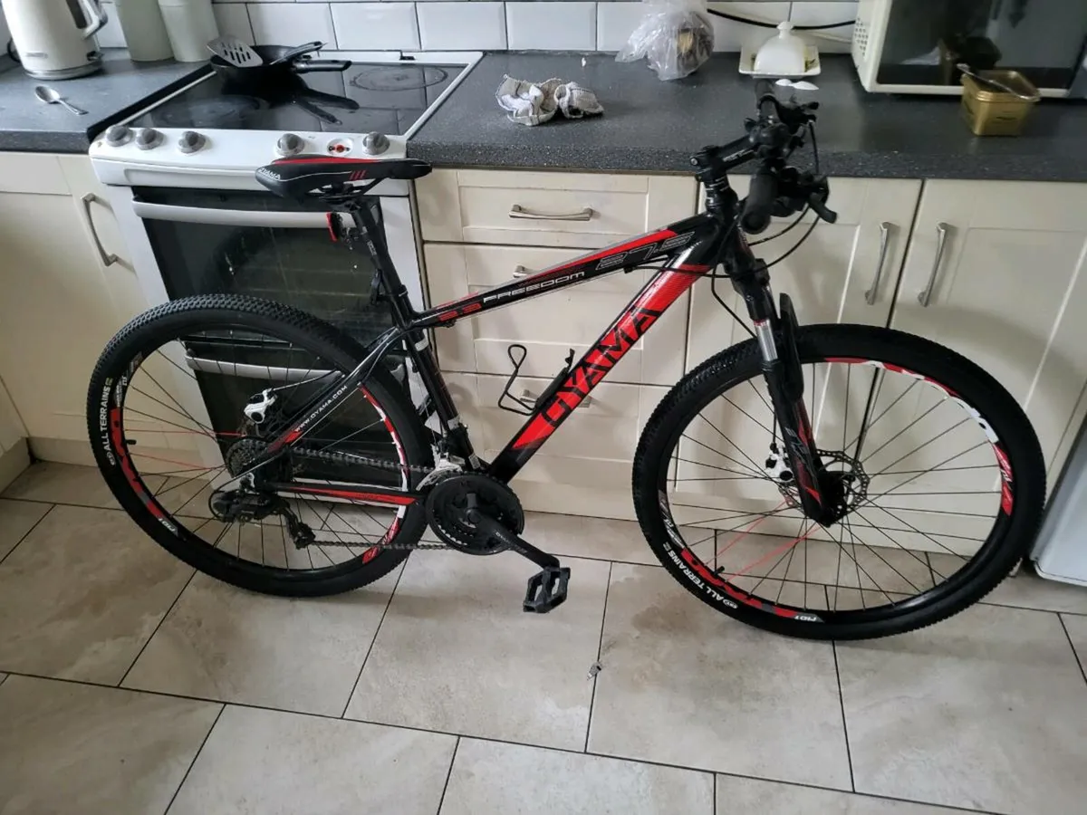 Mountain bike - Image 1