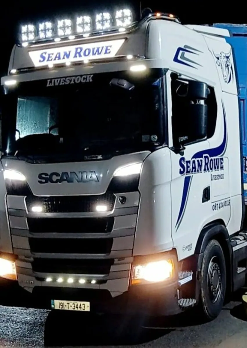 Straw for Sale - Image 1