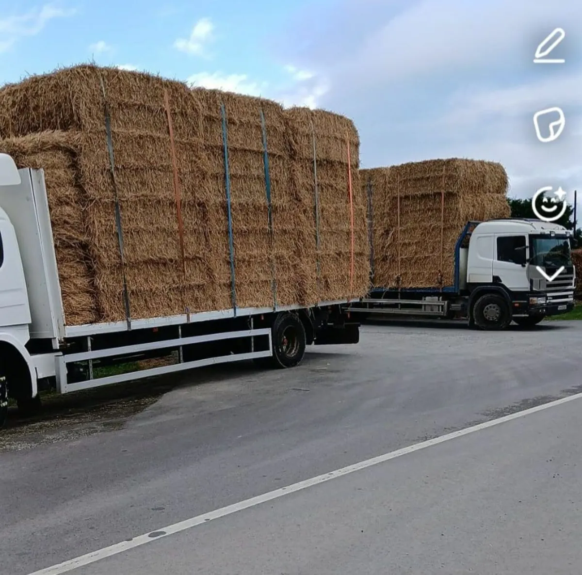 Straw for Sale - Image 2