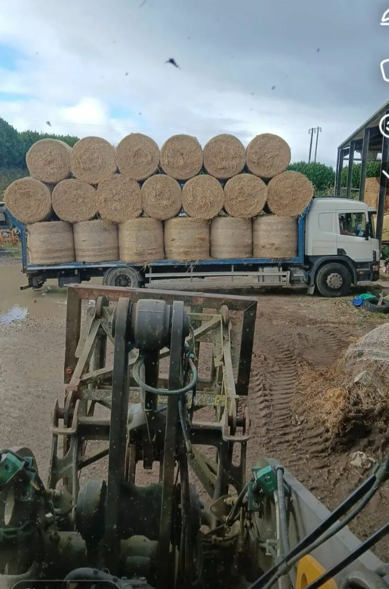 Straw for Sale - Image 3