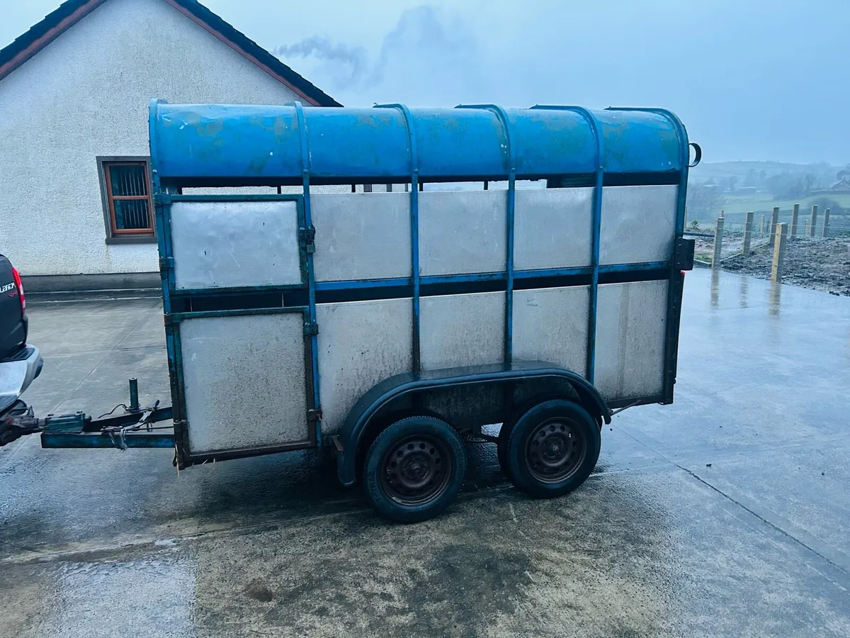 Cattle trailer - Image 2