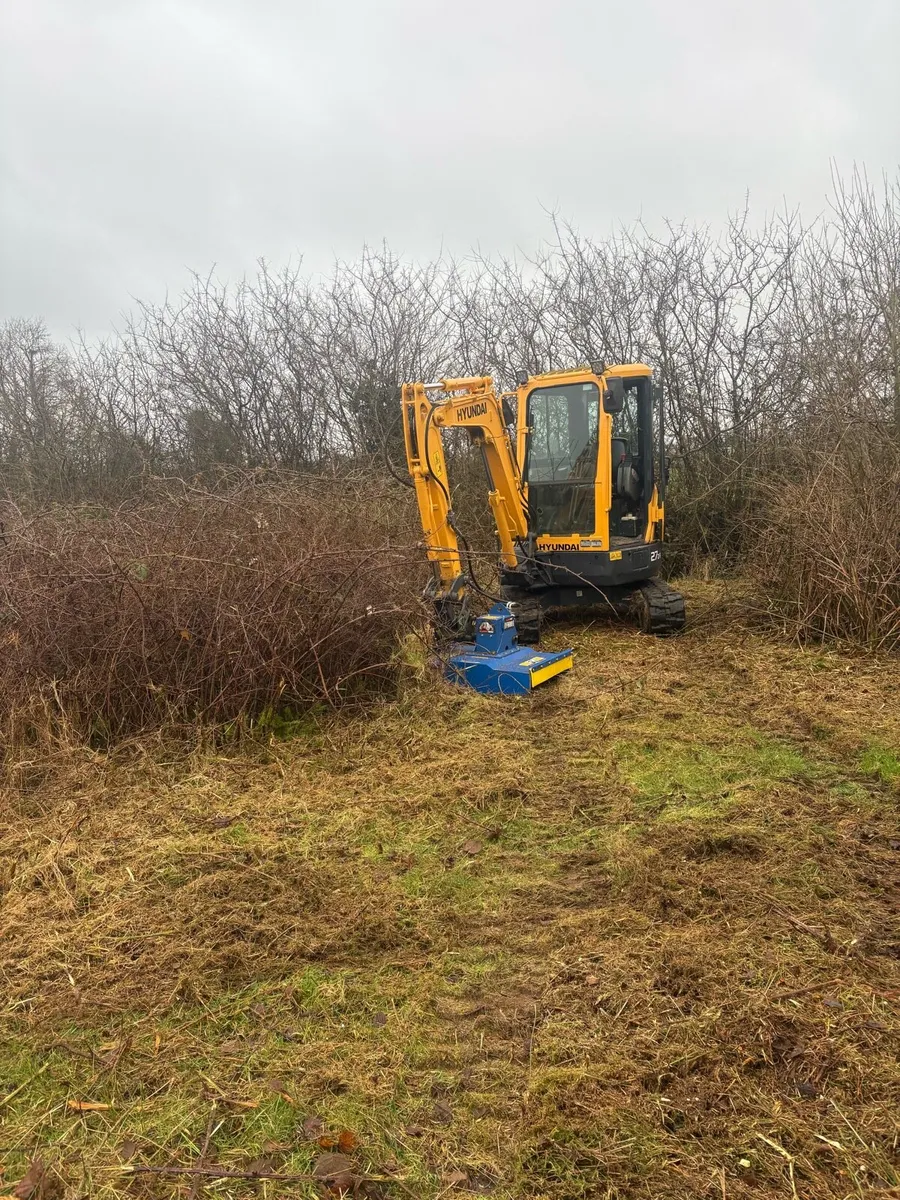 Overgrown land ? - Image 1