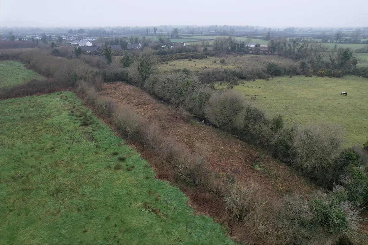 Overgrown land ? - Image 3