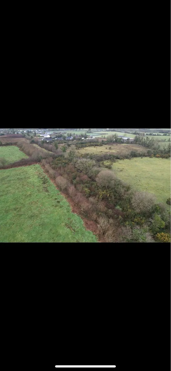 Overgrown land ? - Image 2