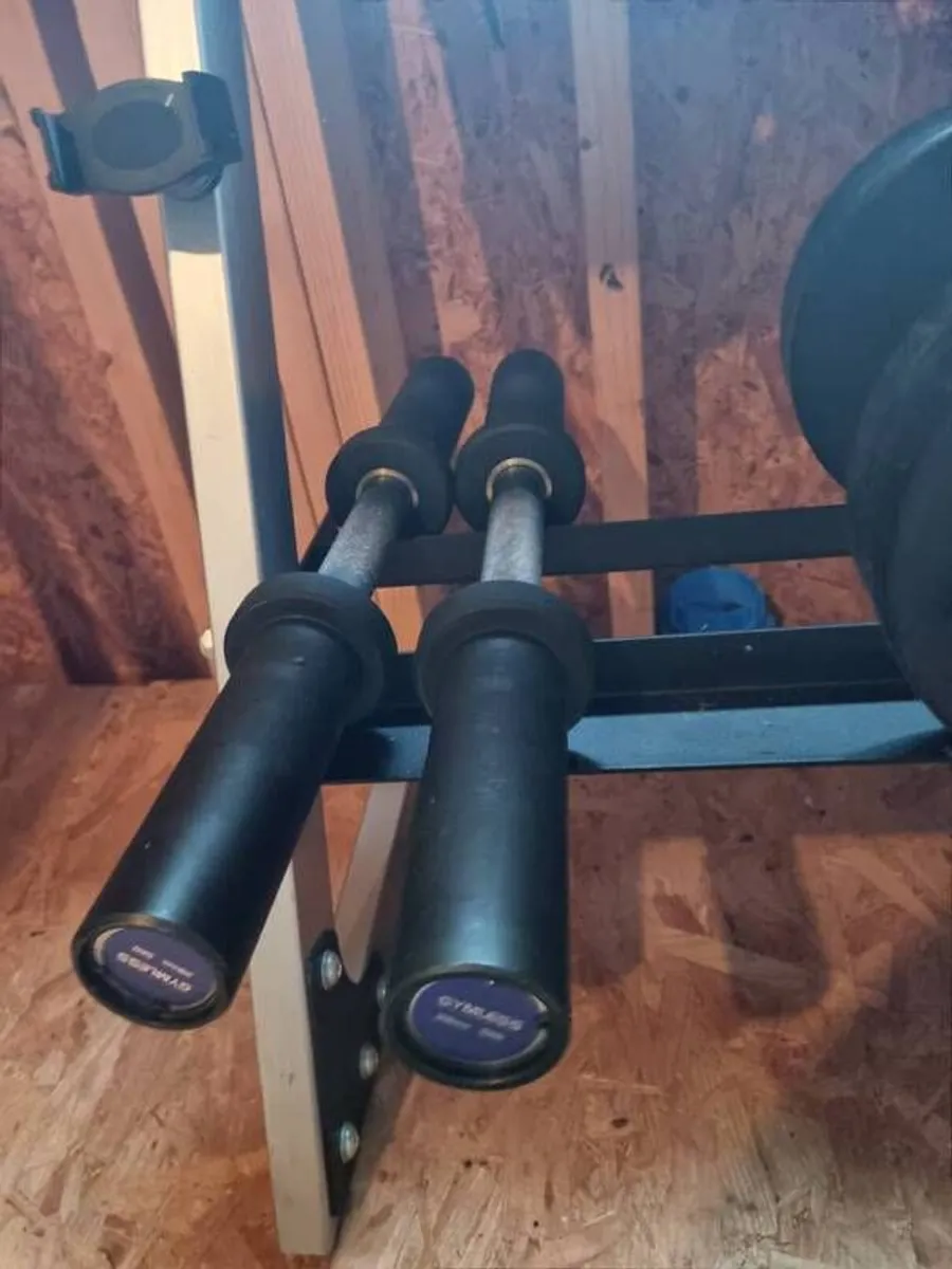 Home Gym - Image 4