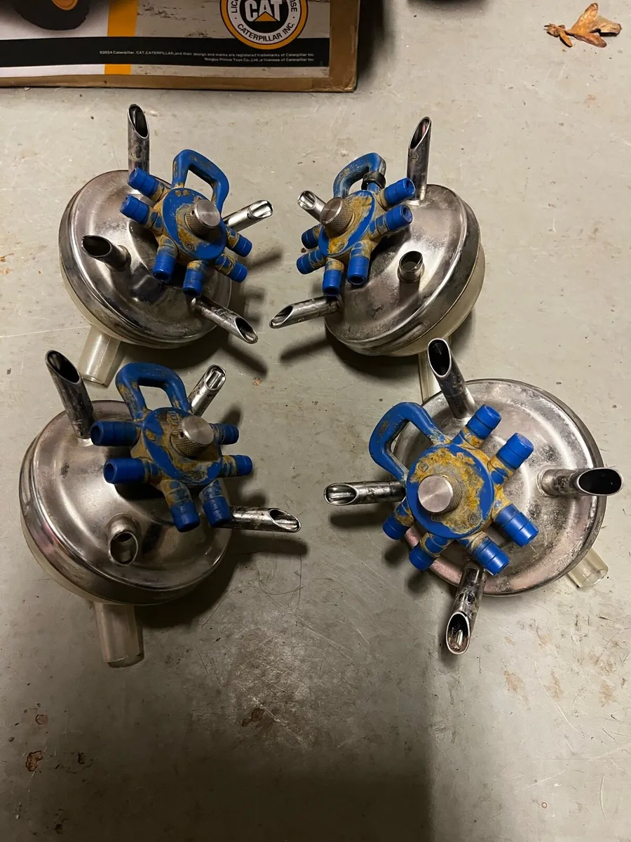 Clusters and Bowls Available *2nd Hand - Image 4