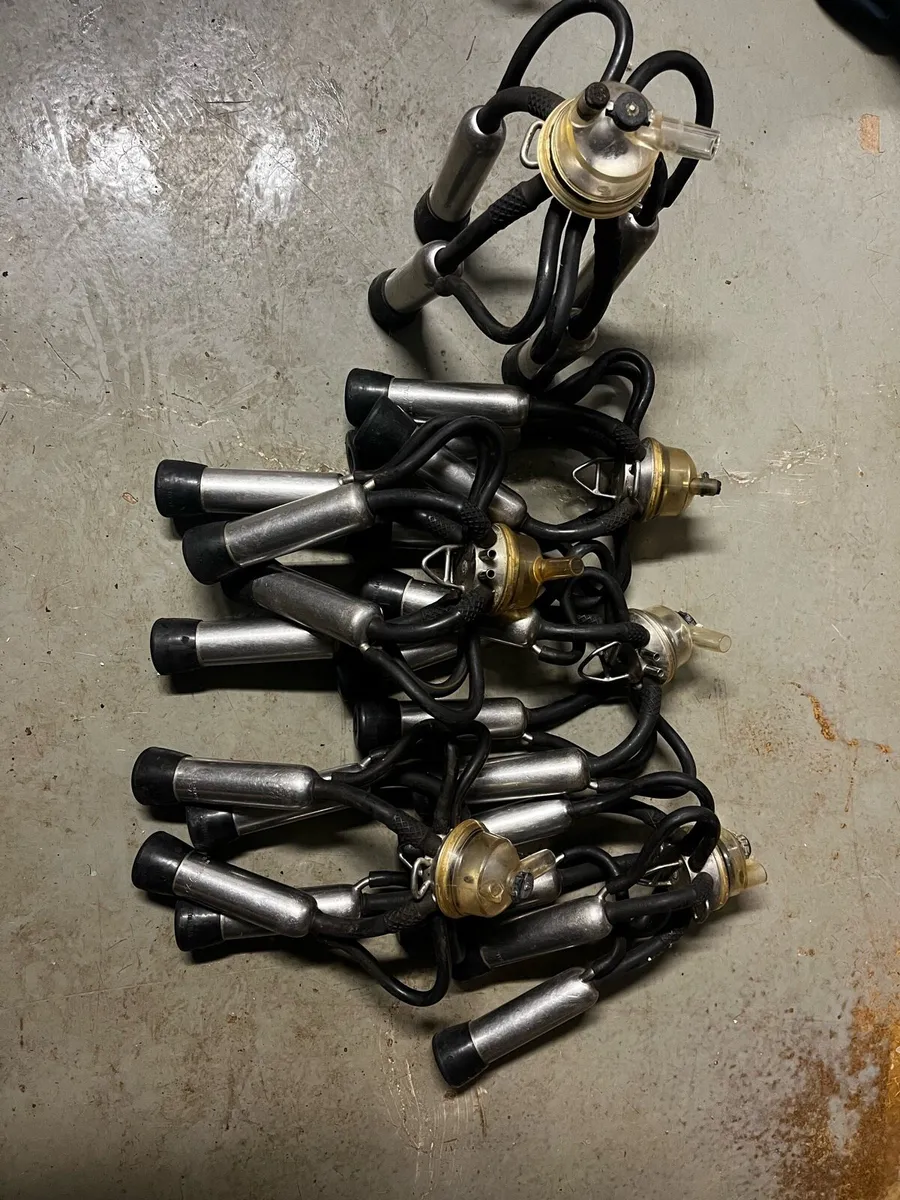 Clusters and Bowls Available *2nd Hand - Image 1