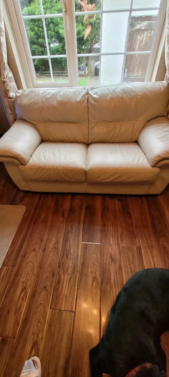 Leather Couches 2 seater & 3 Seater - Image 3
