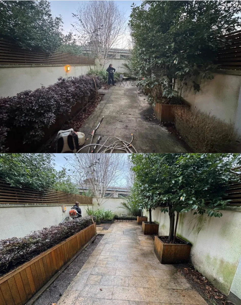 Mini Makeover - Garden Clean Ups. - Image 2