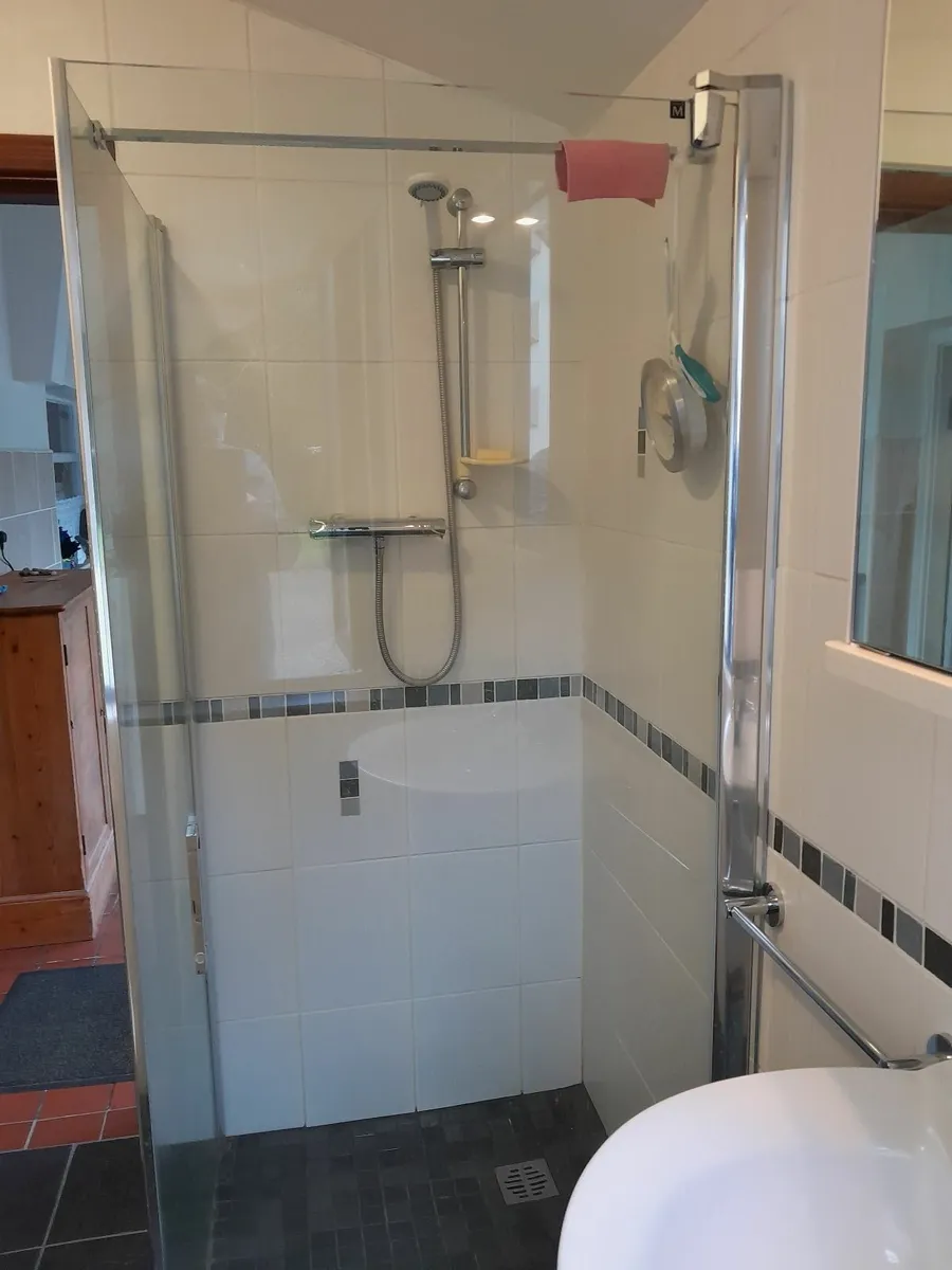shower door & panel - Image 2