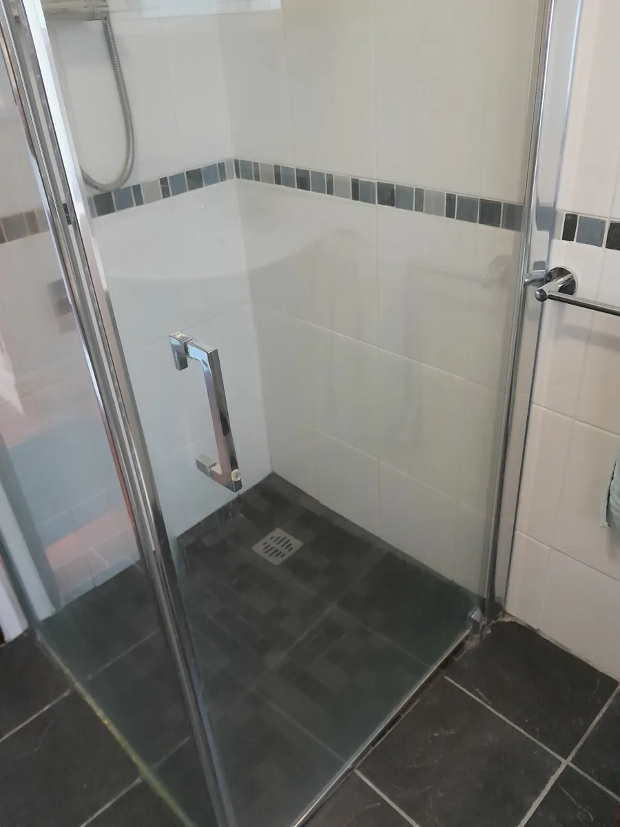 shower door & panel - Image 3