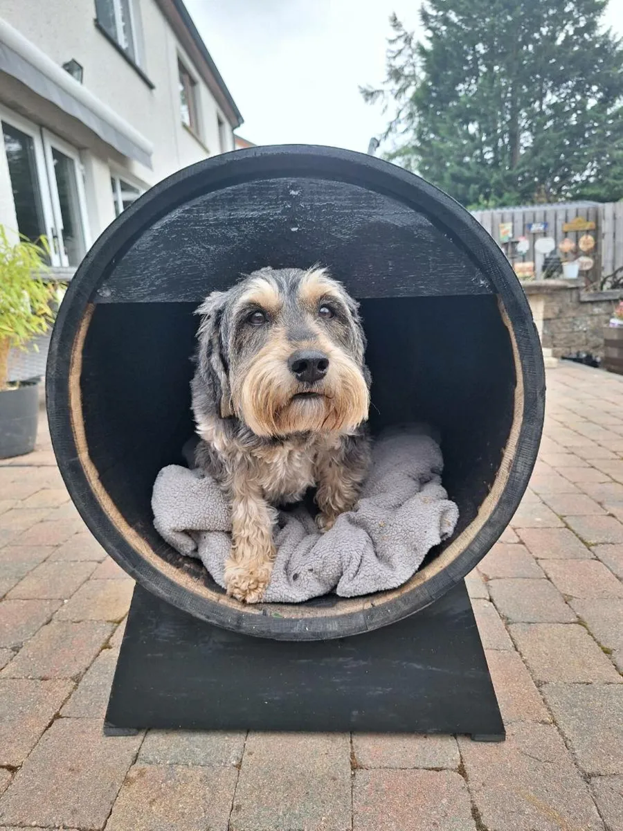 Oak barrel dog kennel - Image 1
