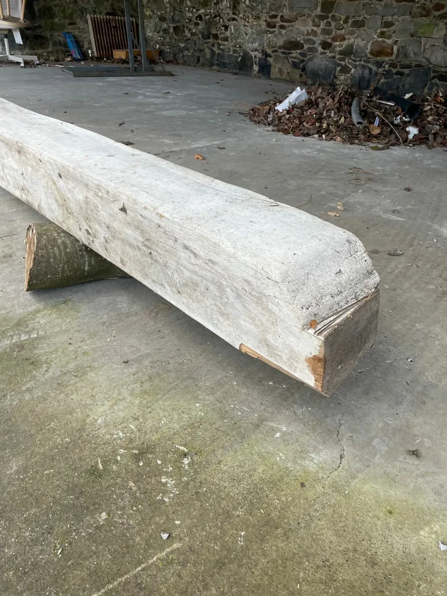 Wooden  Bean - Image 1