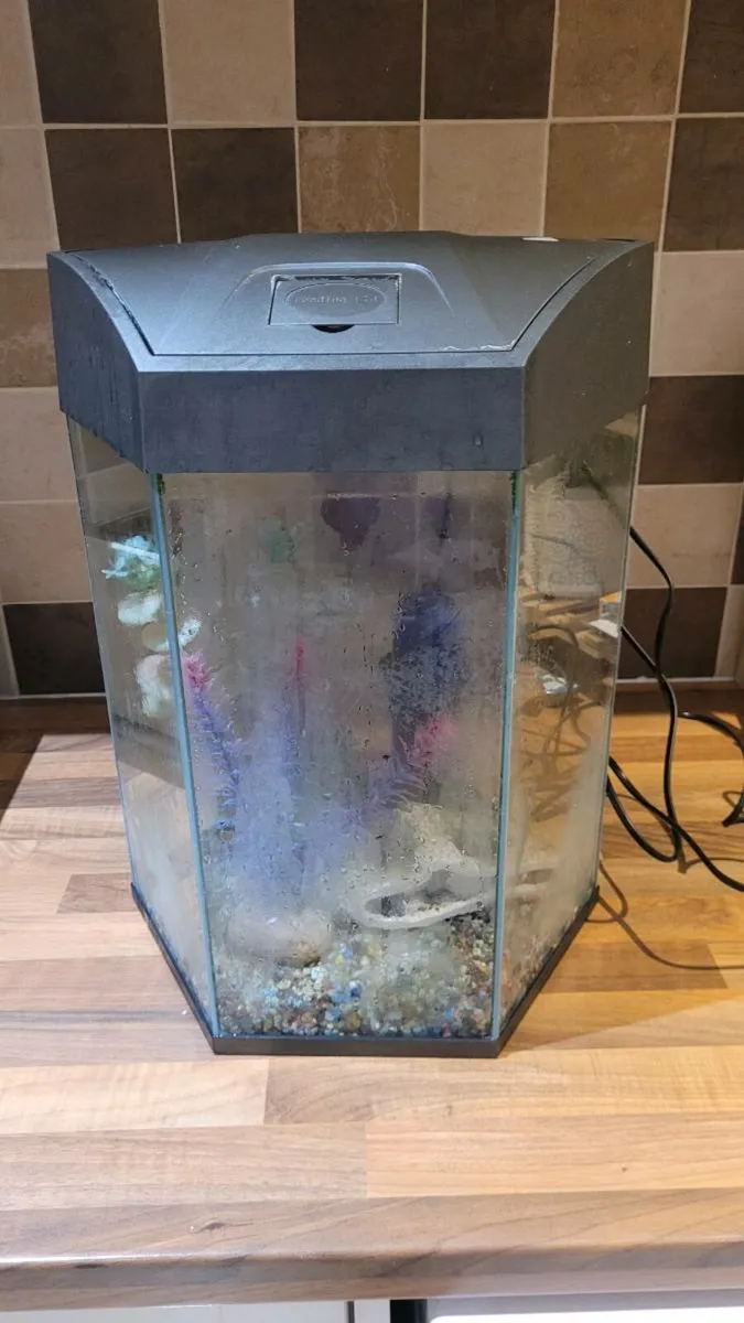 Fish tank - Image 2