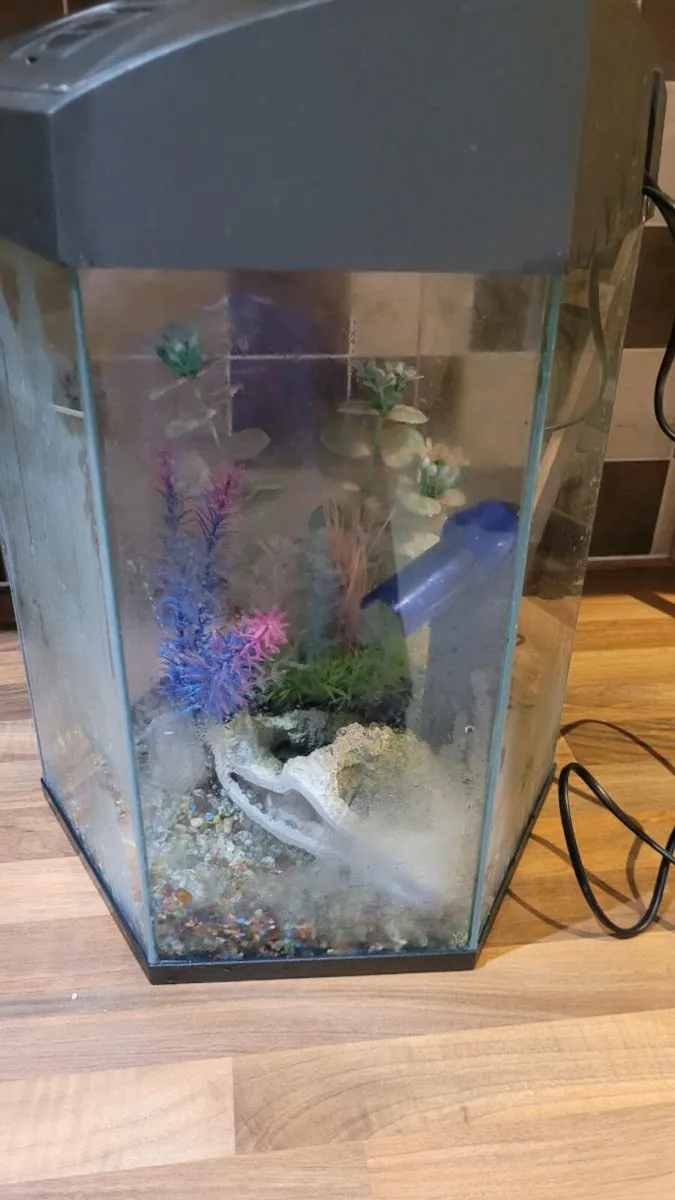 Fish tank - Image 3