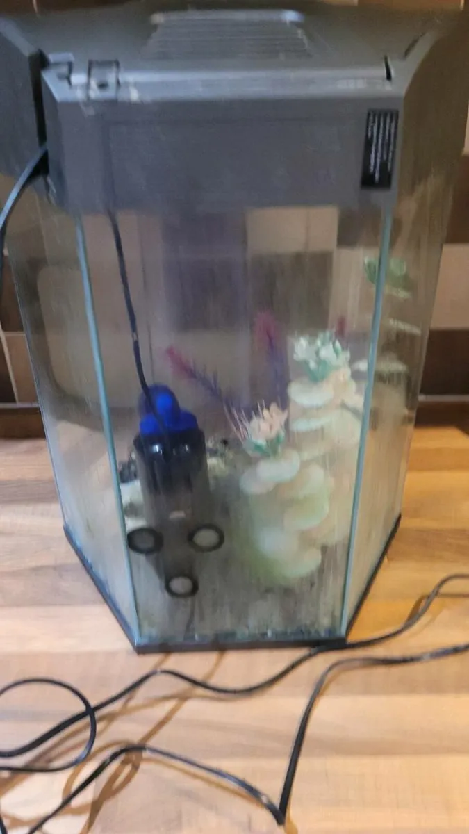 Fish tank - Image 4