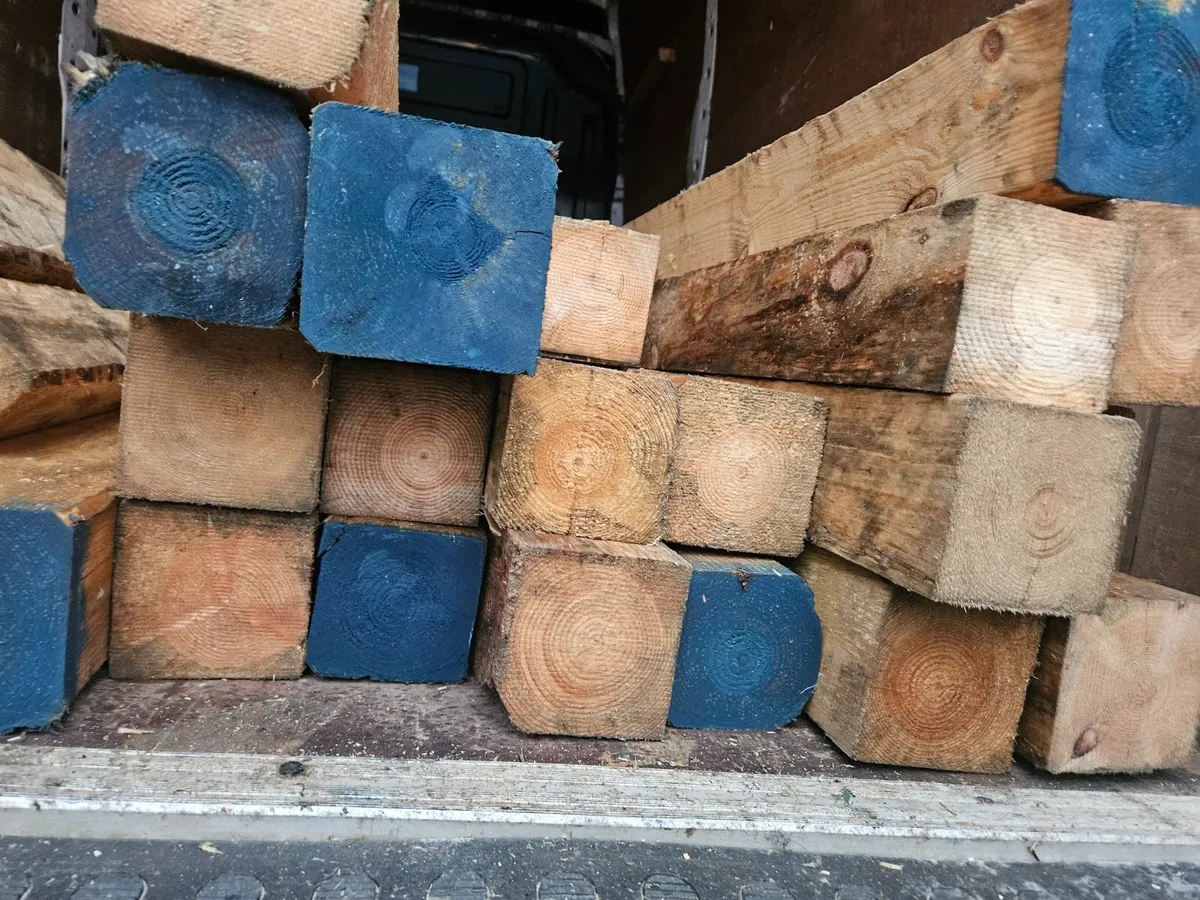 Timber wood - Image 4