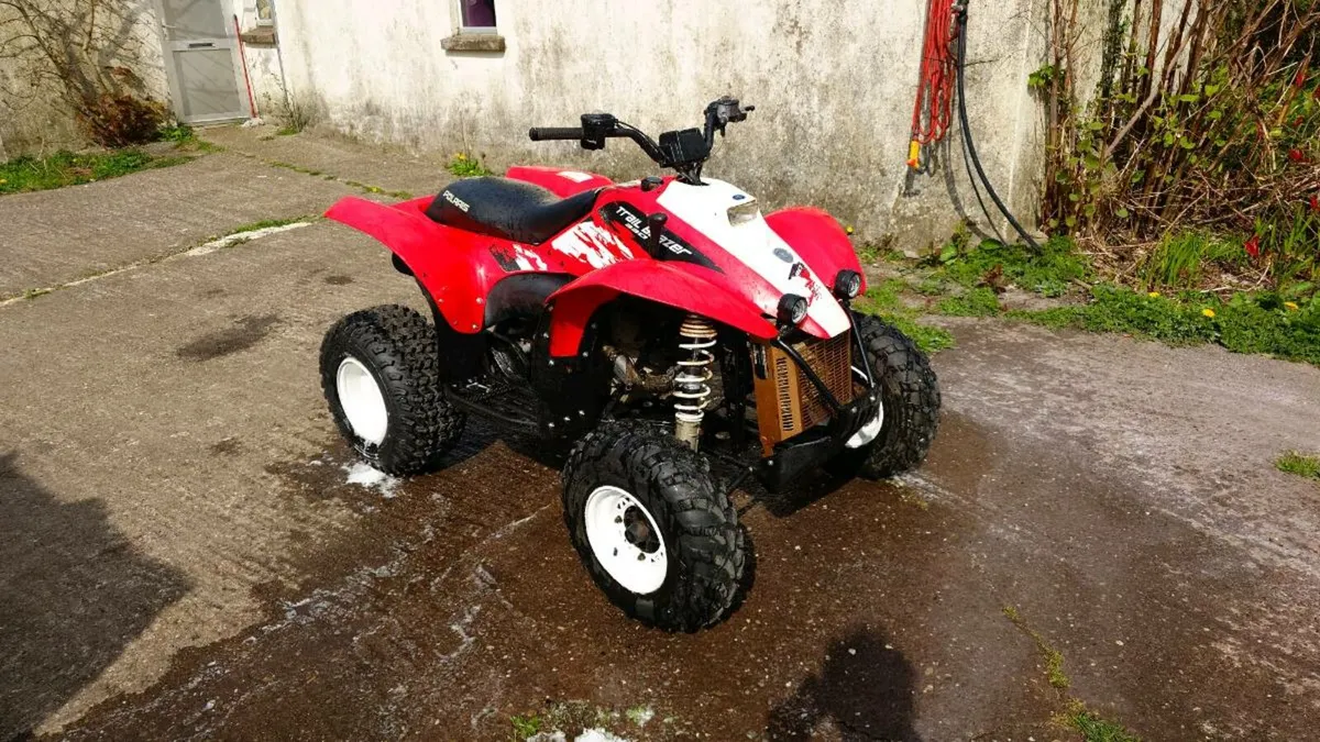 Polaris trail blazer 330 2008 - Image 1