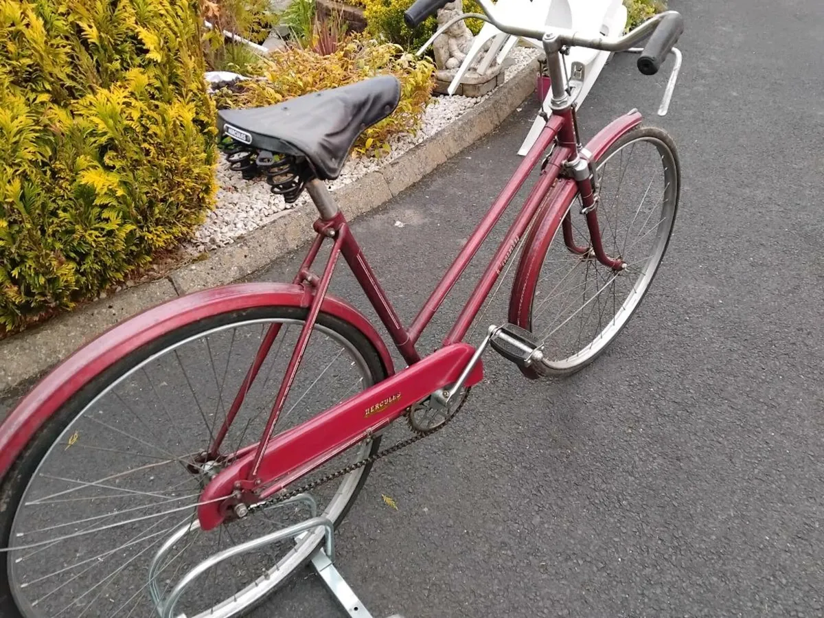 Vintage Hercules Bicycle - Image 4