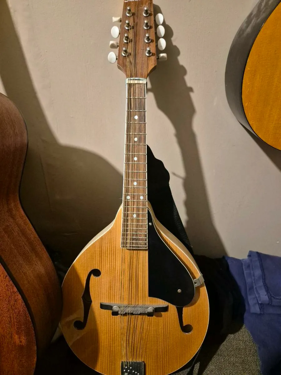 Guitar/Mandolin - Image 2