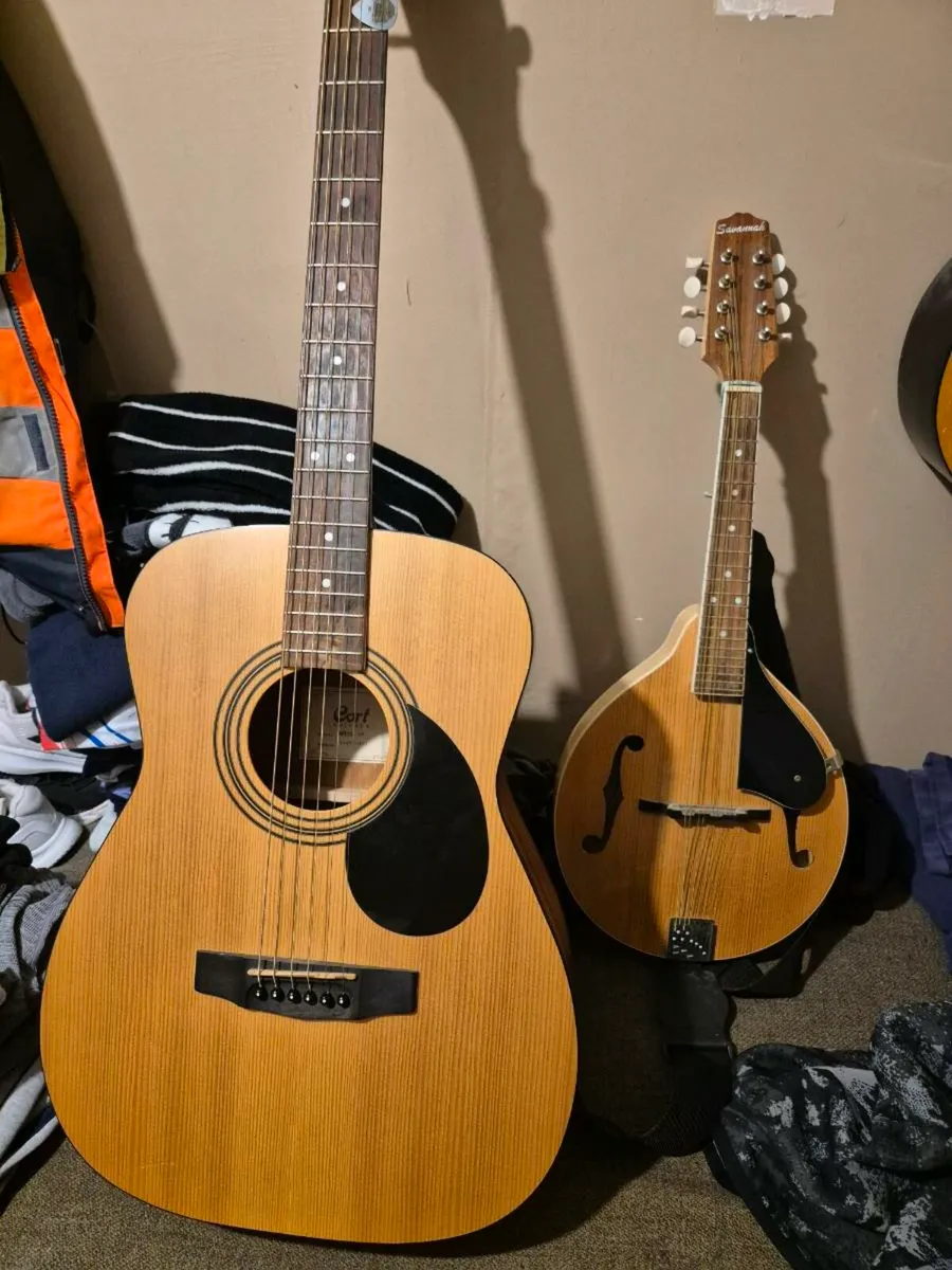 Guitar/Mandolin - Image 3