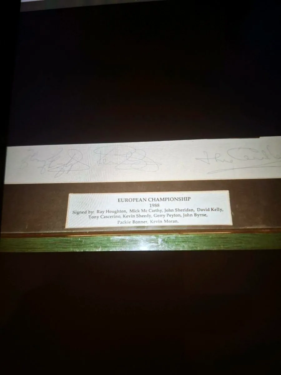 Framed Signed. 1988 Championship  Photo Ireland v - Image 2