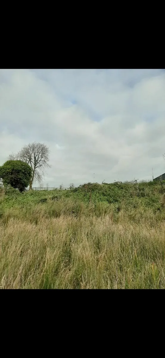 Rushestown,Newbridge,Co Galway. - Image 3