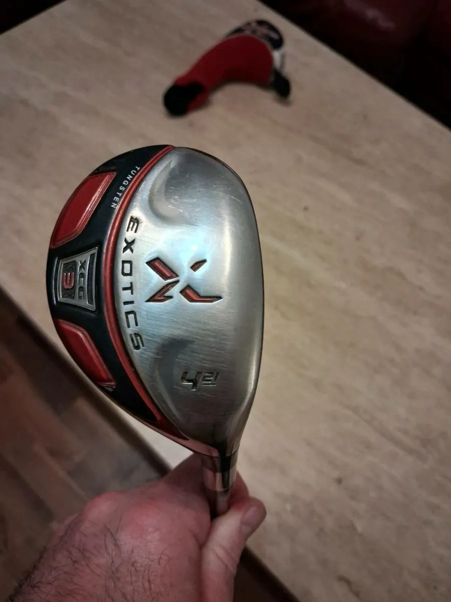 Exotics 4 hybrid - Image 1