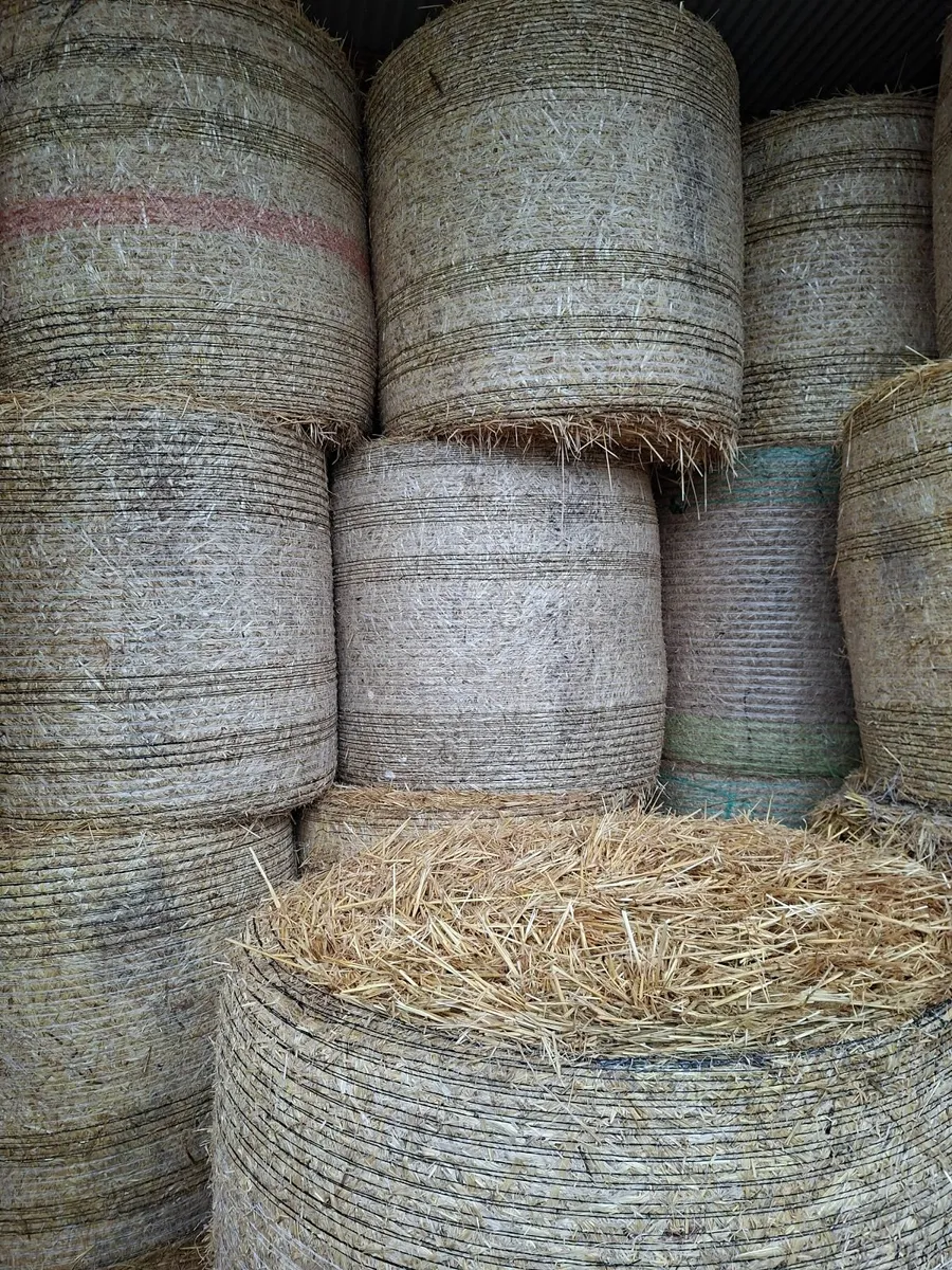 Barley Straw - Image 1