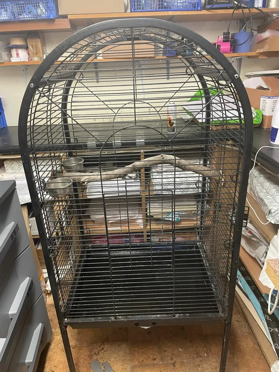 Parrot cage - Image 1