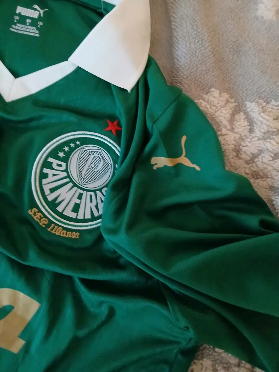 Palmeirs Soccer jersey newbrsnd - Image 2