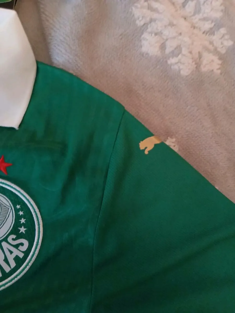 Palmeirs Soccer jersey newbrsnd - Image 3