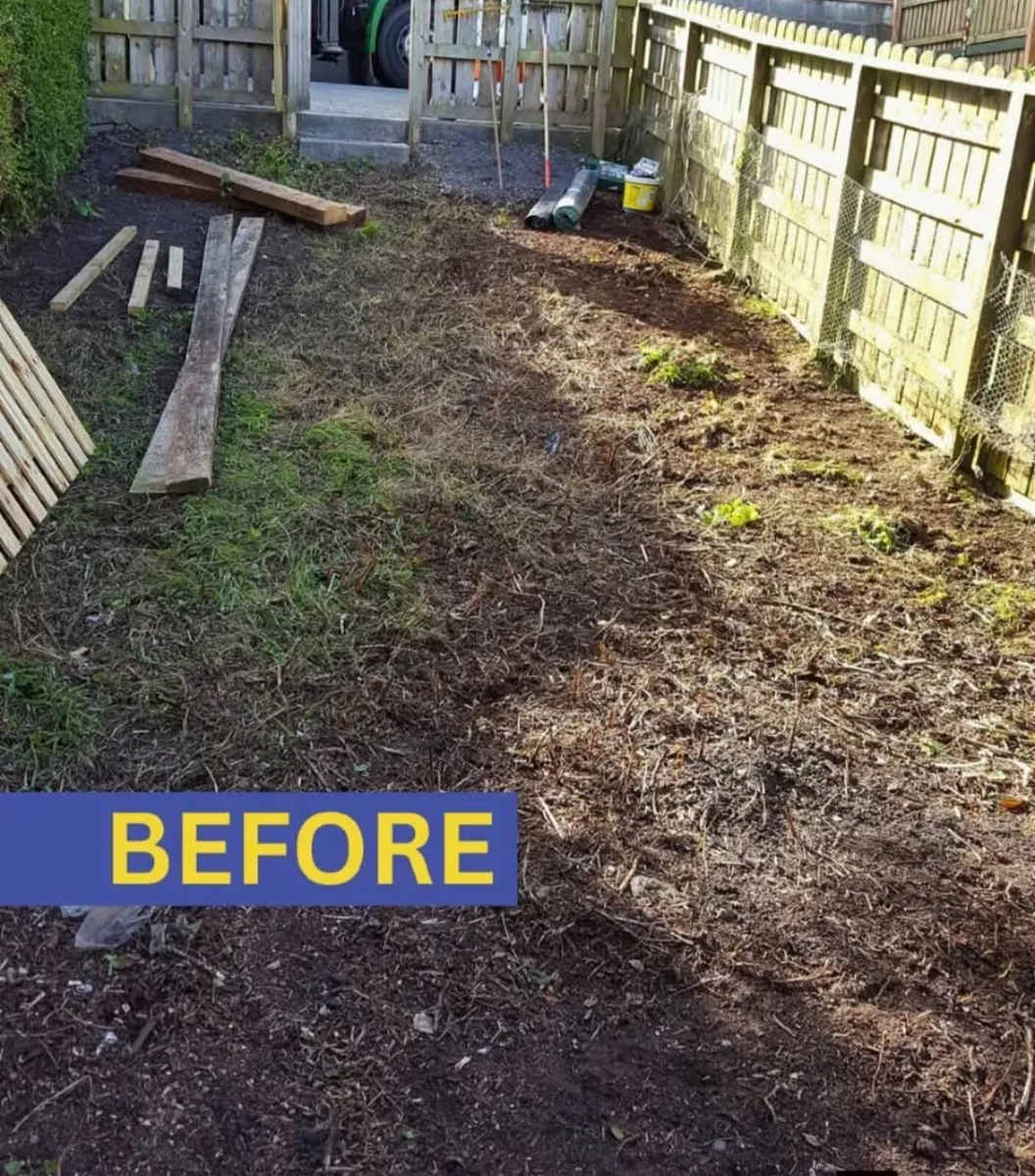 Garden and landscape - Image 2