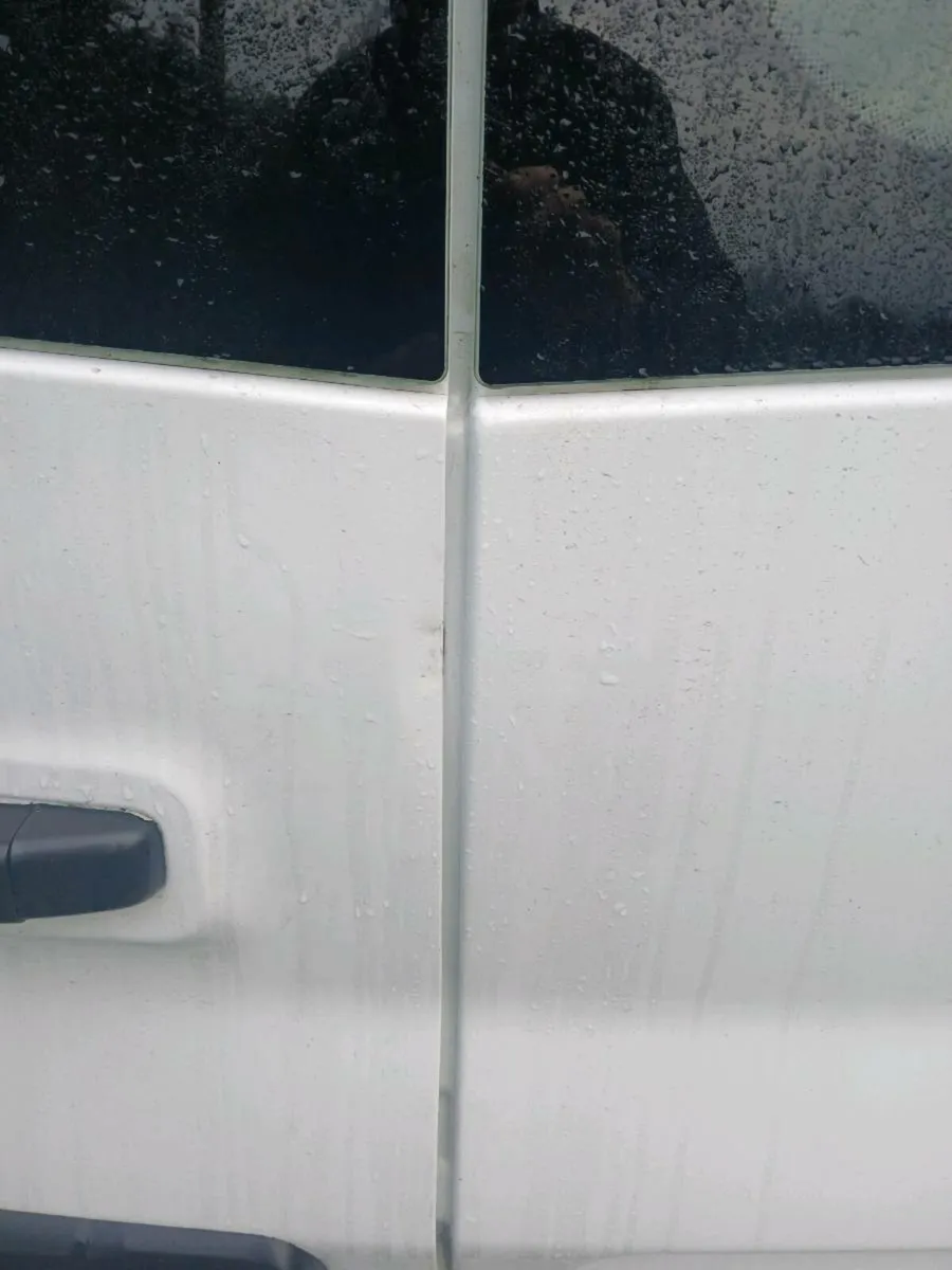 Renault Traffic rear doors & nissan quashqui door - Image 4