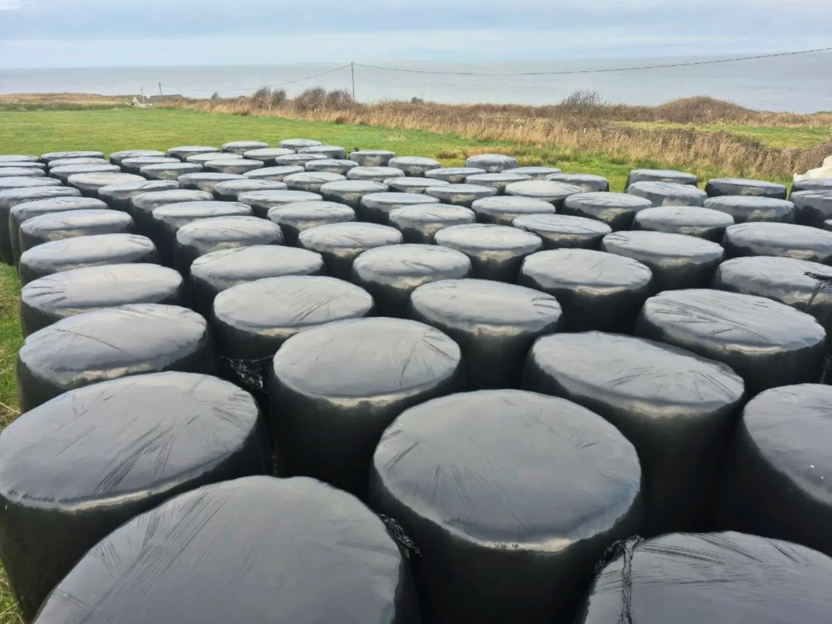 Top quality silage - Image 1