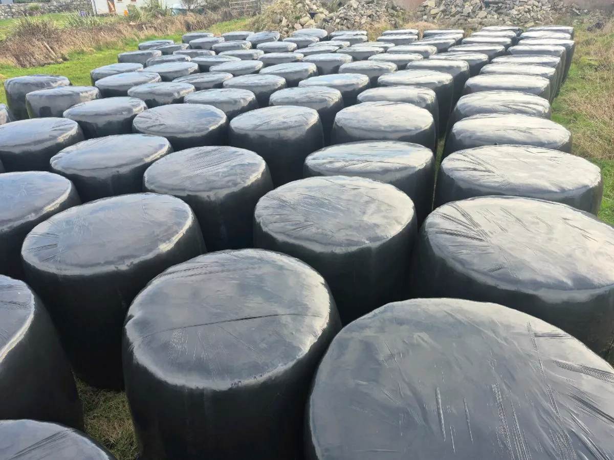 Top quality silage - Image 2