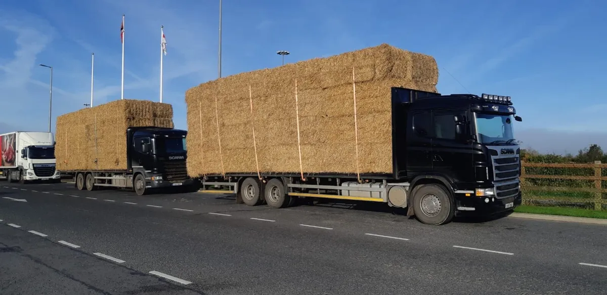 Round and square bales for sale - Image 2