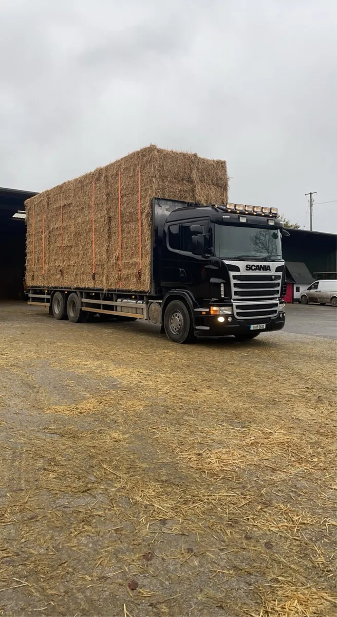 Round and square bales for sale - Image 4