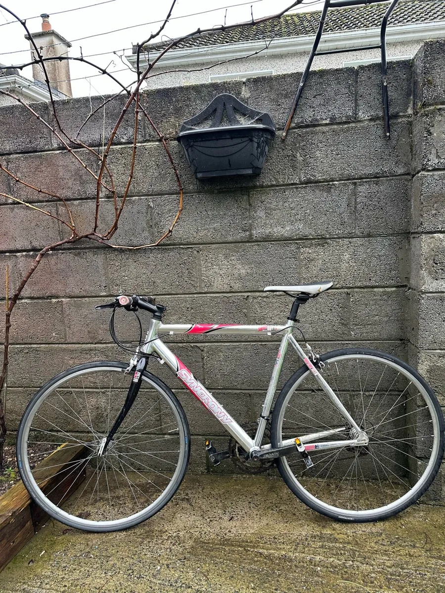 Syncrony bike - Image 2