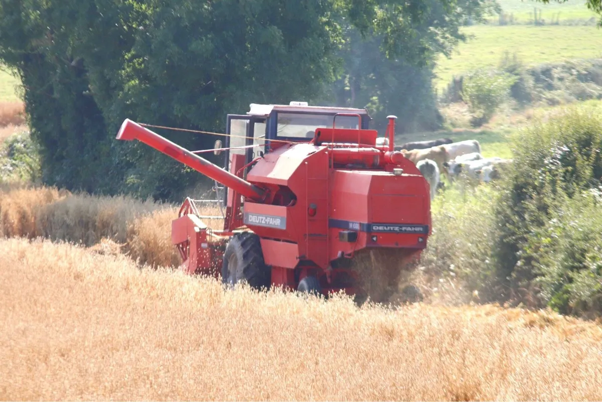 Deutz Fahr M1080 - Image 3