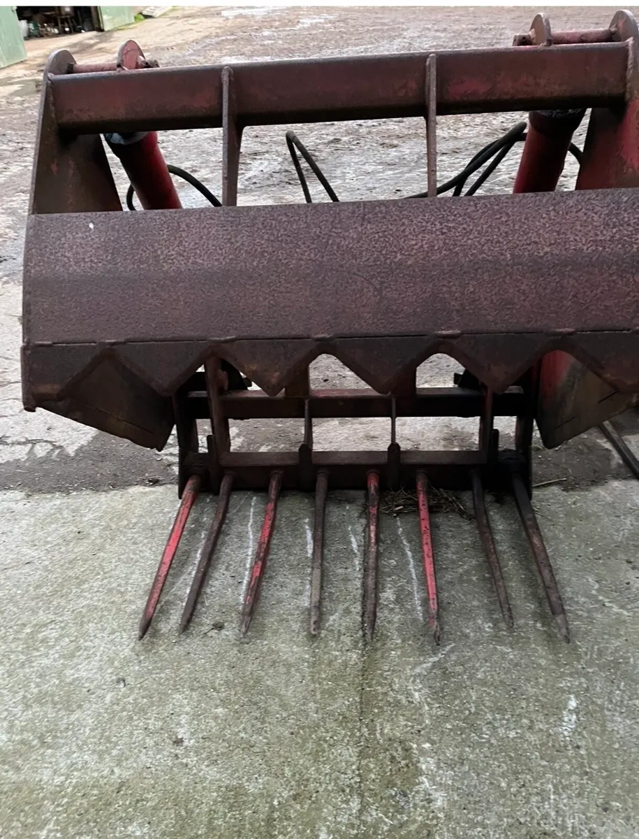 Conor Shear Grab 3’ 10”  Wrought iron gate - Image 2