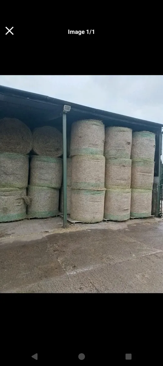 Hay for sale