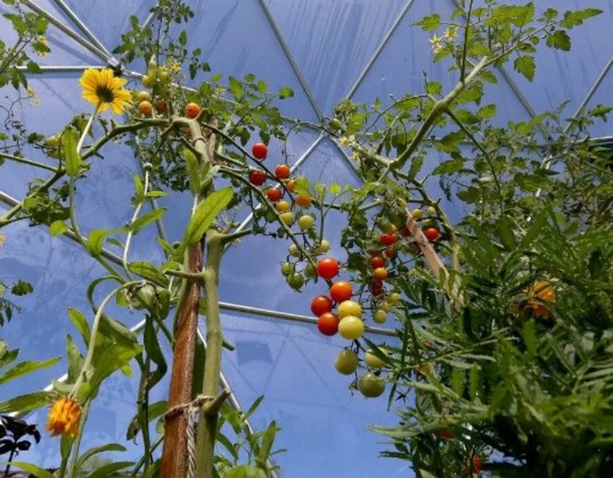 Luxury 5m(16.4ft) Extremely Strong Structure Dome - Image 3