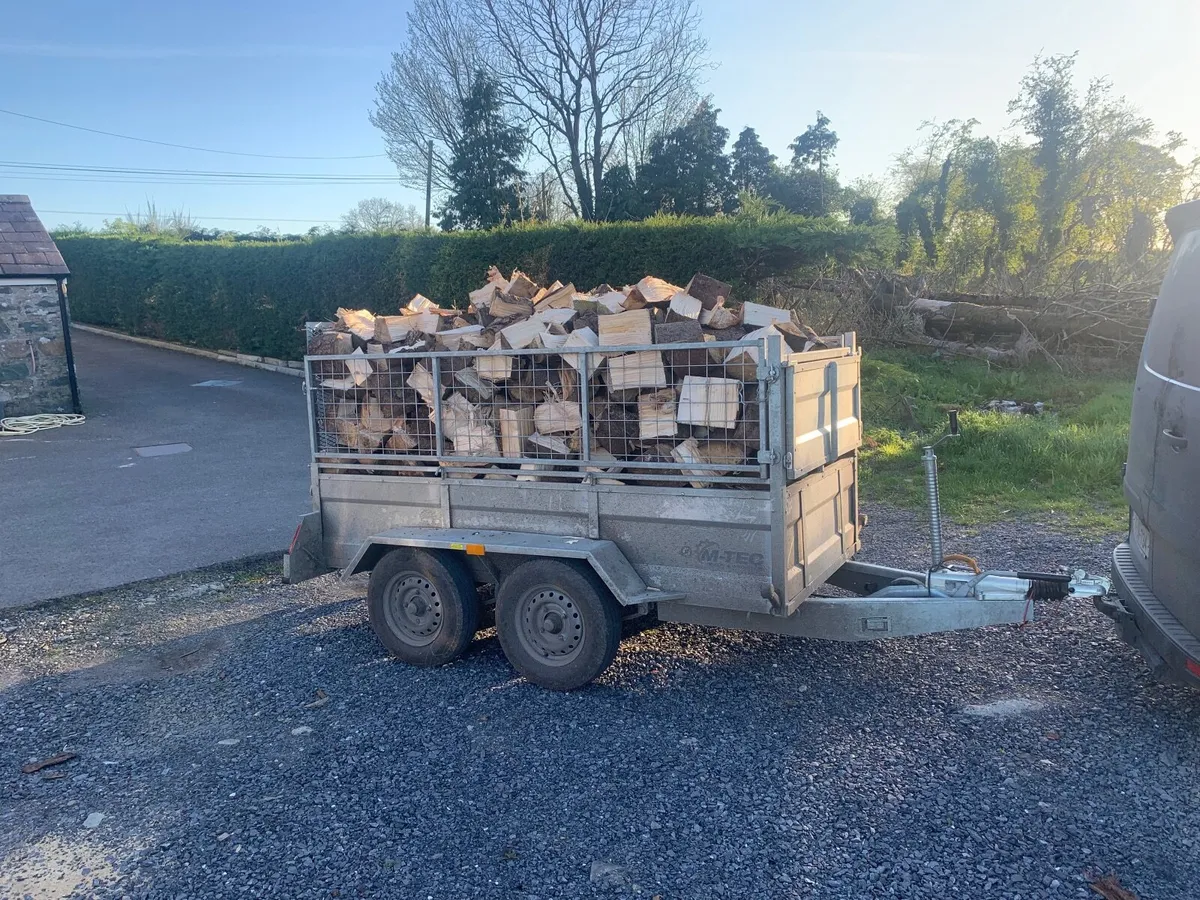 Firewood €250 - Image 1