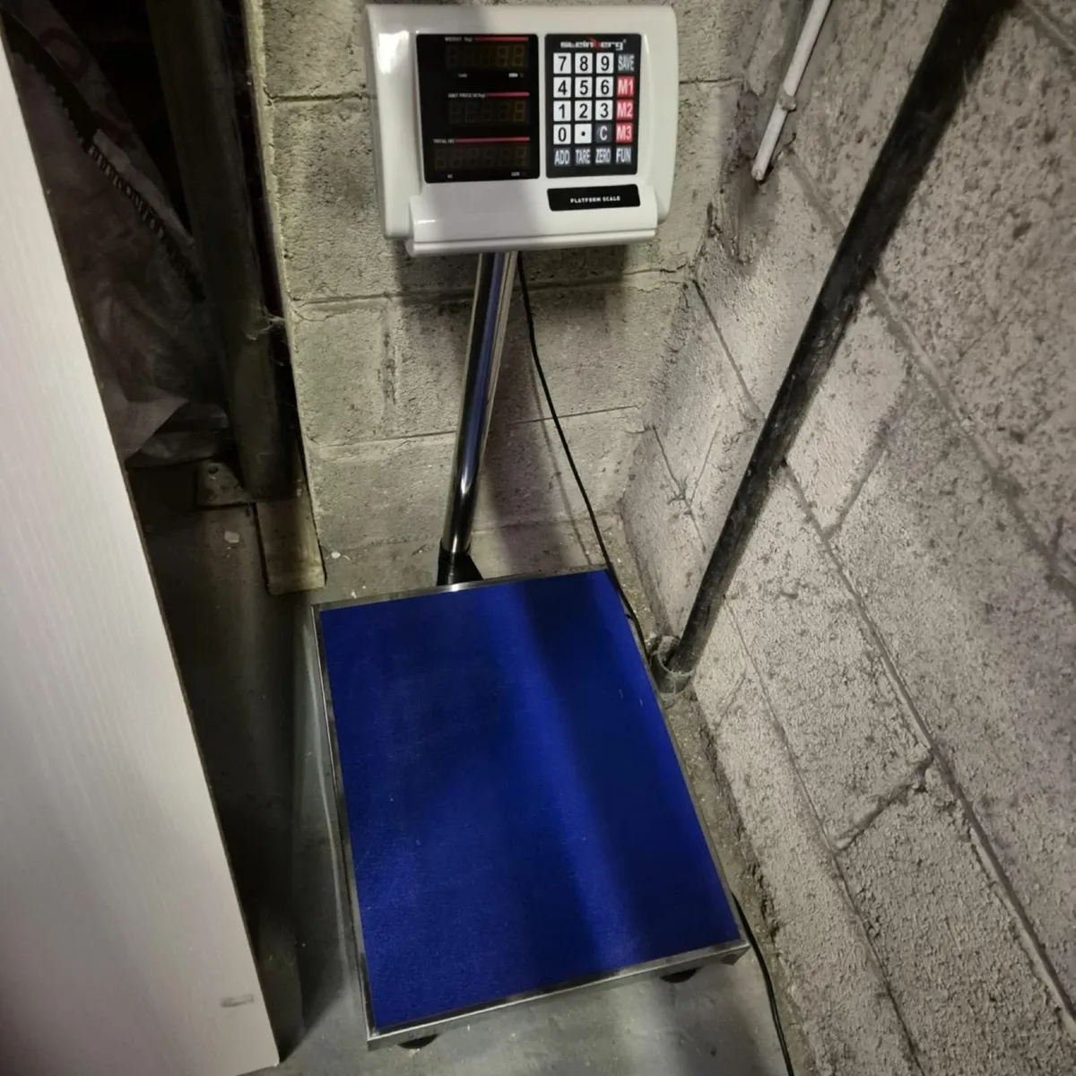 Steinberg systems Platform Scale 300 kg - Image 1