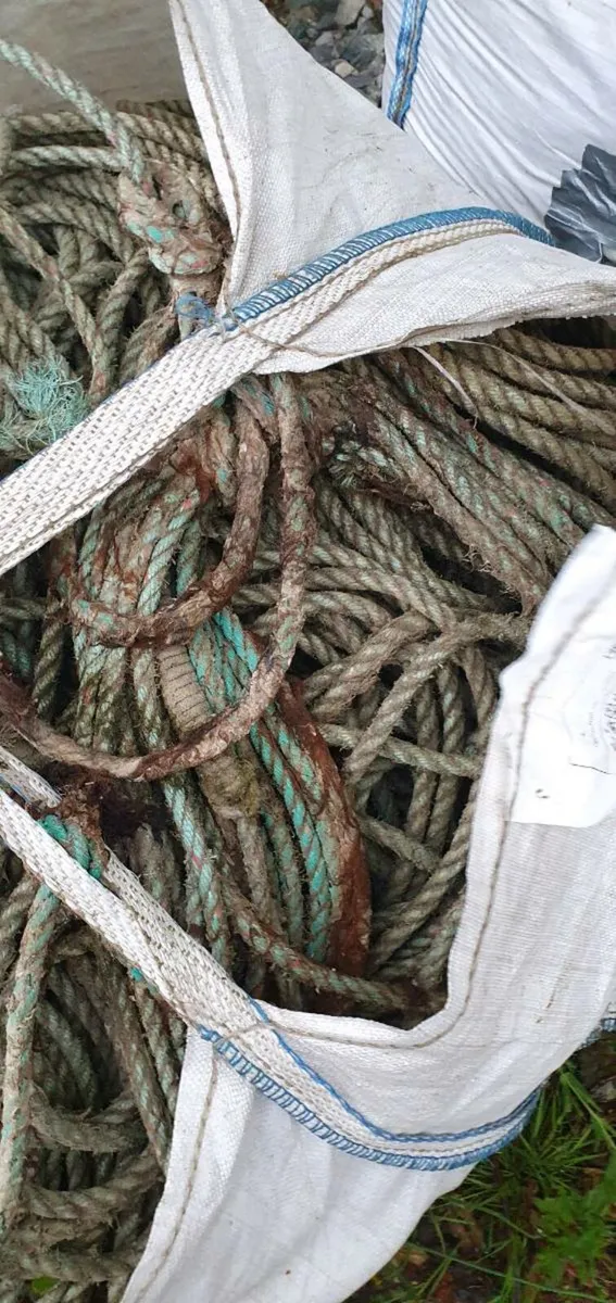 Fishing Gear - Image 4