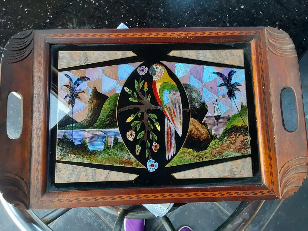Stunning Vintage Butterfly Wing Tray - Image 1