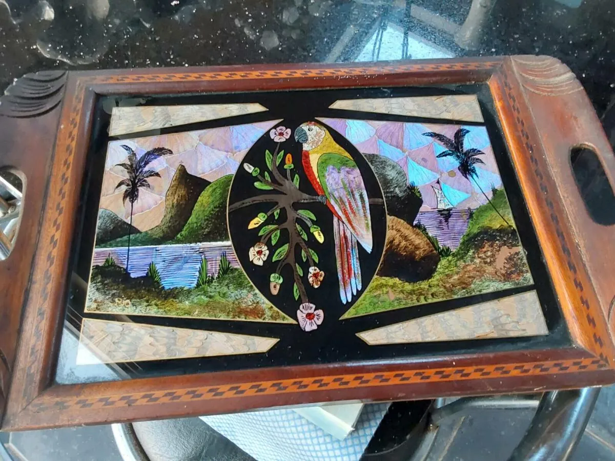 Stunning Vintage Butterfly Wing Tray - Image 2