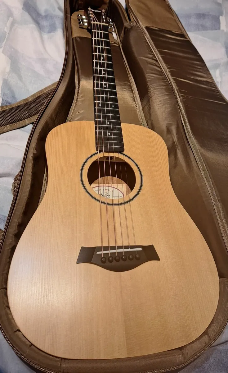 Taylor BT1 - Image 4